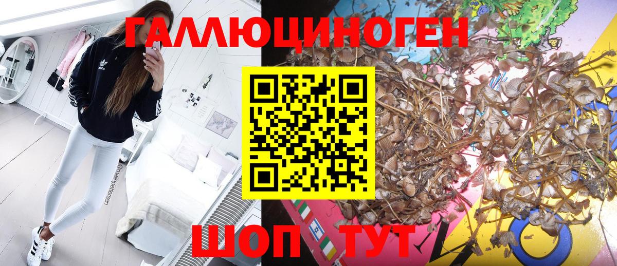 Псилоцибиновые грибы мицелий Острогожск