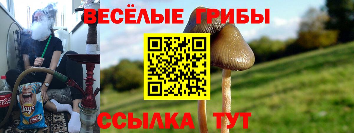 Псилоцибиновые грибы MAGIC MUSHROOMS  Вход с VPN  Галлюциногенные грибы Psilocybine cubensis  Острогожск 